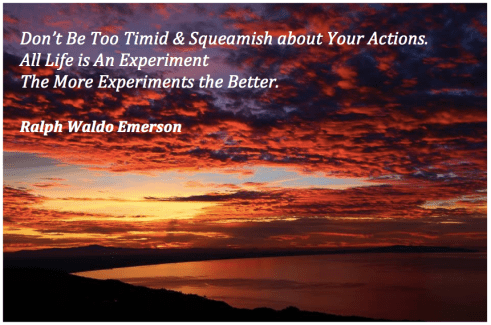 Life is An Experiment JPG